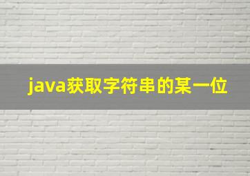 java获取字符串的某一位