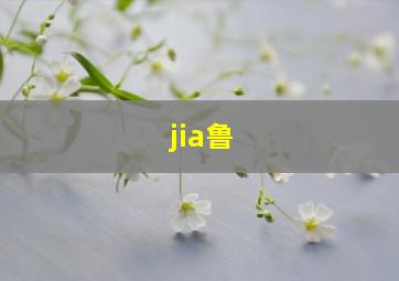 jia鲁