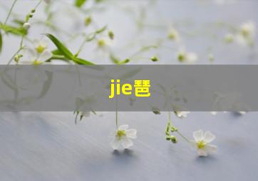 jie琶