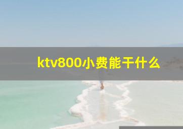 ktv800小费能干什么