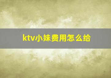 ktv小妹费用怎么给