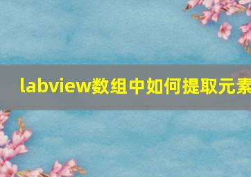 labview数组中如何提取元素