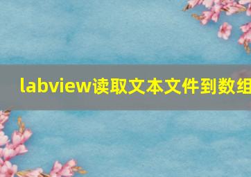 labview读取文本文件到数组