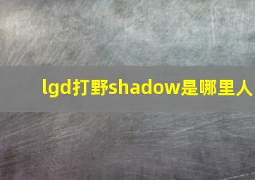 lgd打野shadow是哪里人