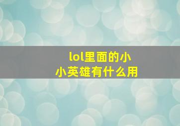 lol里面的小小英雄有什么用