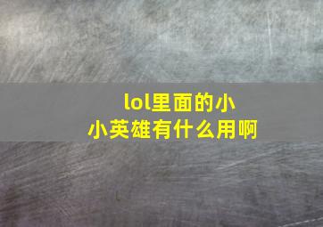 lol里面的小小英雄有什么用啊