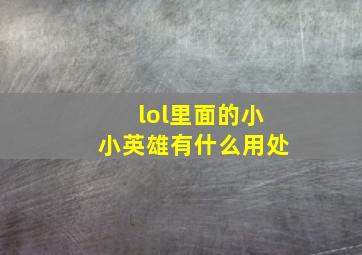 lol里面的小小英雄有什么用处