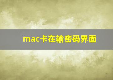 mac卡在输密码界面