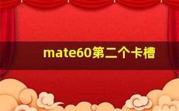 mate60第二个卡槽