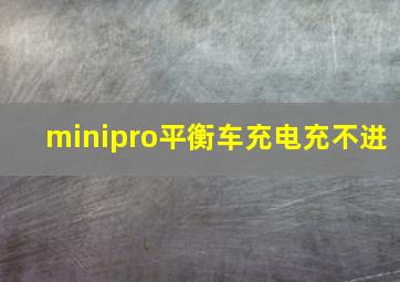 minipro平衡车充电充不进