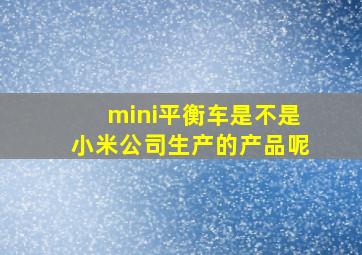 mini平衡车是不是小米公司生产的产品呢