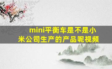 mini平衡车是不是小米公司生产的产品呢视频