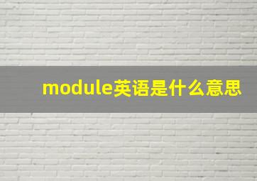 module英语是什么意思