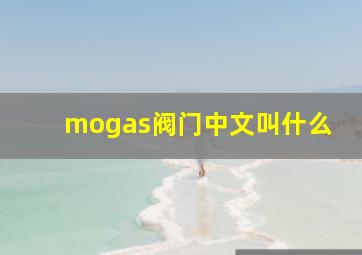 mogas阀门中文叫什么