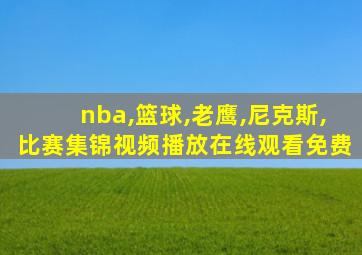 nba,篮球,老鹰,尼克斯,比赛集锦视频播放在线观看免费