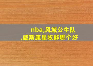 nba,风城公牛队,威斯康星牧群哪个好