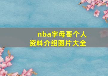 nba字母哥个人资料介绍图片大全