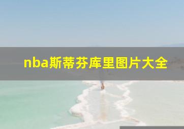 nba斯蒂芬库里图片大全