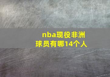 nba现役非洲球员有哪14个人