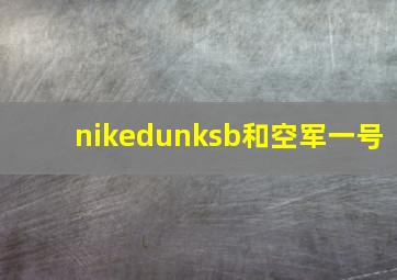 nikedunksb和空军一号