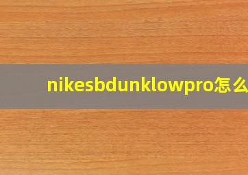 nikesbdunklowpro怎么读