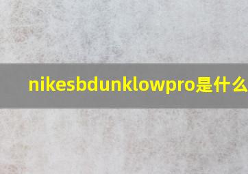 nikesbdunklowpro是什么意思