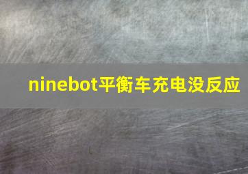 ninebot平衡车充电没反应