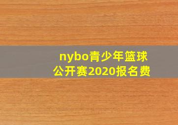 nybo青少年篮球公开赛2020报名费