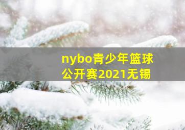 nybo青少年篮球公开赛2021无锡