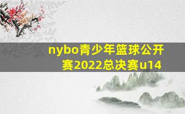 nybo青少年篮球公开赛2022总决赛u14