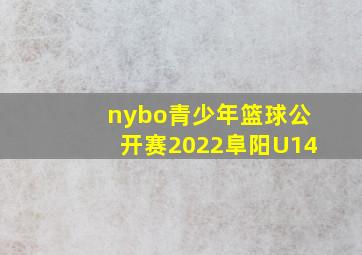 nybo青少年篮球公开赛2022阜阳U14