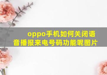 oppo手机如何关闭语音播报来电号码功能呢图片