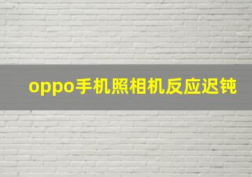 oppo手机照相机反应迟钝