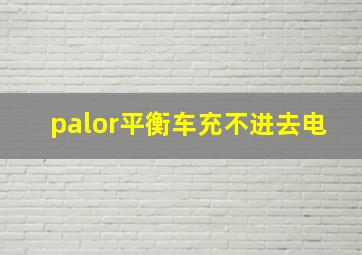 palor平衡车充不进去电