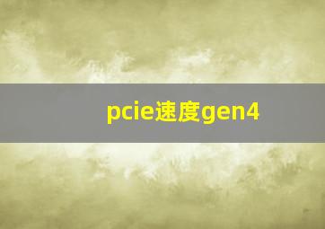 pcie速度gen4