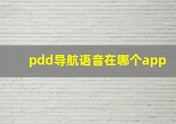 pdd导航语音在哪个app