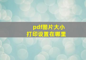 pdf图片大小打印设置在哪里