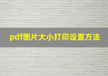 pdf图片大小打印设置方法