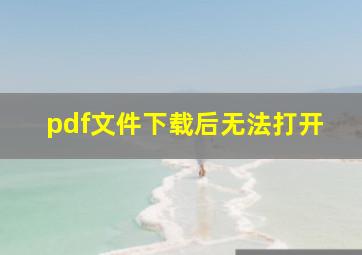 pdf文件下载后无法打开