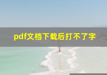 pdf文档下载后打不了字