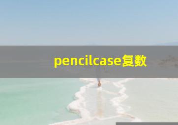 pencilcase复数