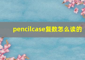 pencilcase复数怎么读的