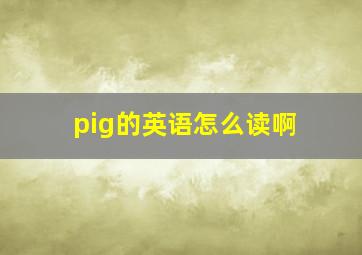 pig的英语怎么读啊