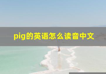 pig的英语怎么读音中文