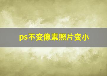 ps不变像素照片变小