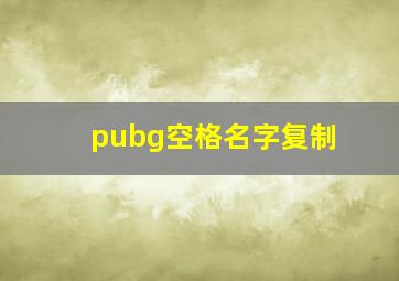 pubg空格名字复制