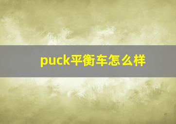 puck平衡车怎么样