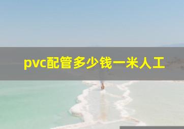 pvc配管多少钱一米人工