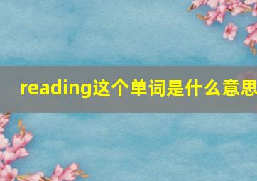 reading这个单词是什么意思