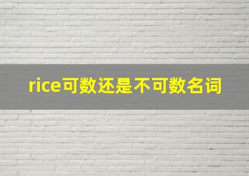 rice可数还是不可数名词